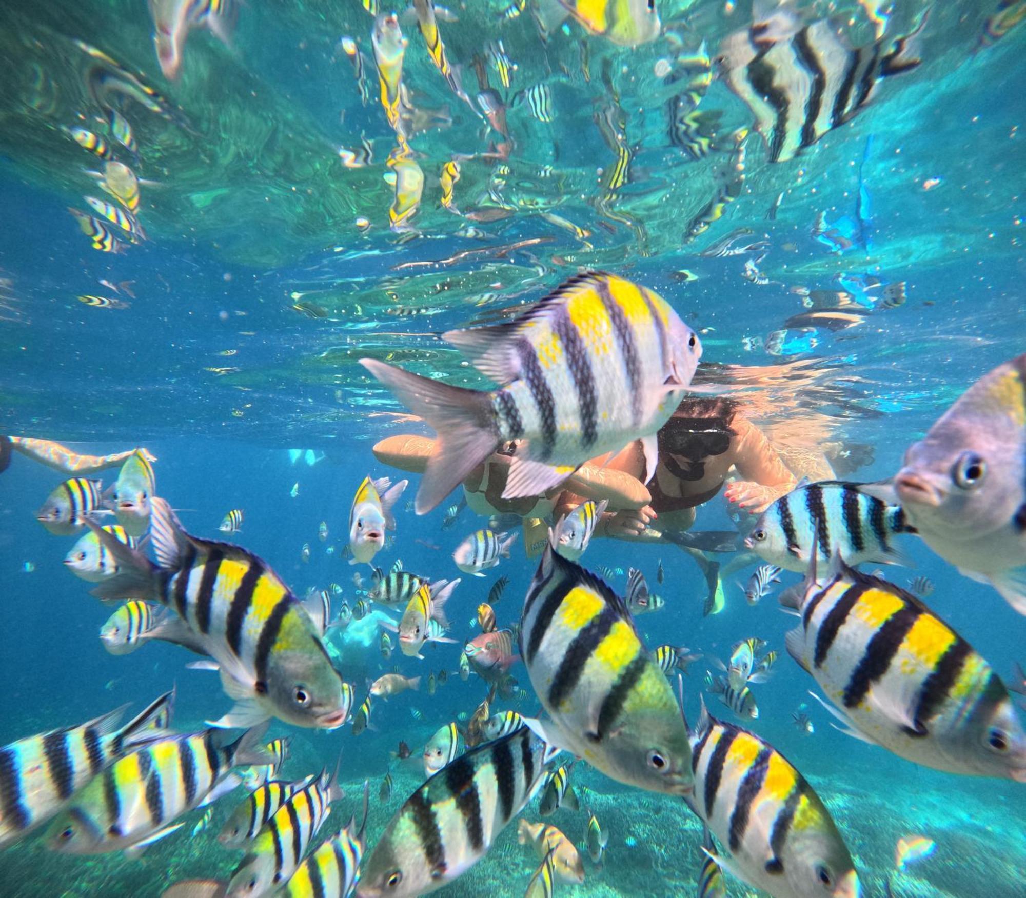 Unzipp Bungalows Gili Air Bagian luar foto