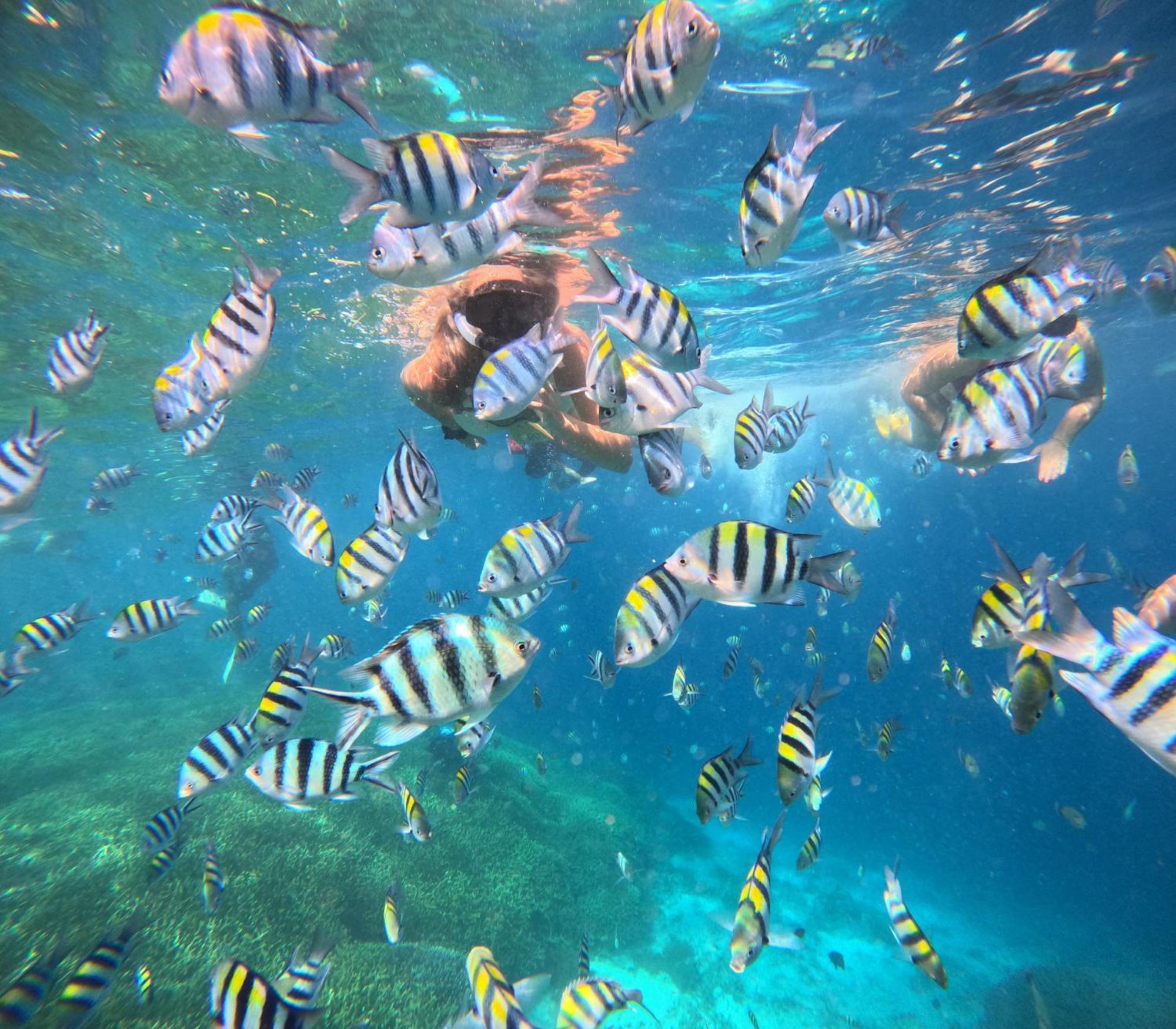 Unzipp Bungalows Gili Air Bagian luar foto